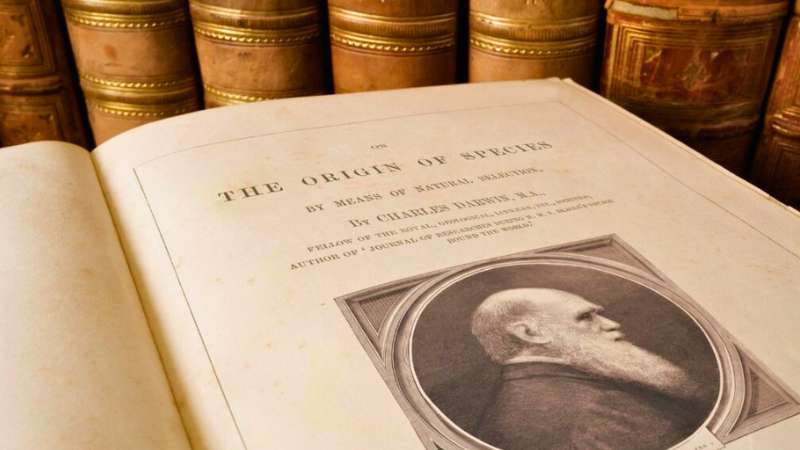 Animais das Ilhas Galápagos estudados por Charles Darwin.