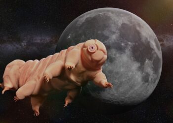 Tardígrado no espaço: a criatura que sobreviveu ao vácuo e à radiação