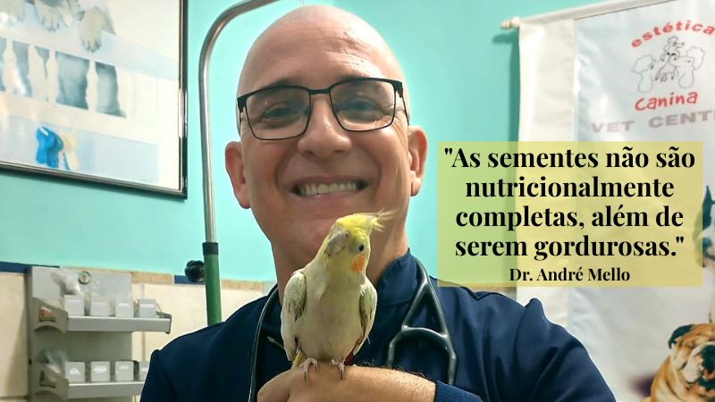Dr. André Mello segurando uma calopsita e explicando a alimentação ideal para psitacídeos.