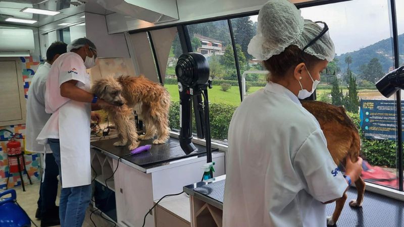 Alunos do Senac RJ realizando banho e tosa em cães na Escola Móvel Pet no Píer Mauá.