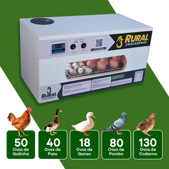 Chocadeira de ovos aves variadas