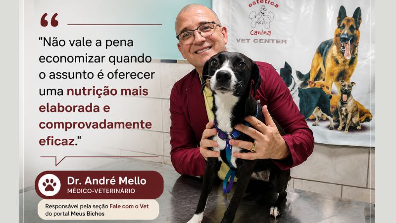 O médico veterinário André Mello sorrindo de jaleco na clínica Vet Center.