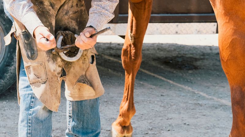 Ferreiro profissional aplicando uma ferradura no casco de um cavalo.