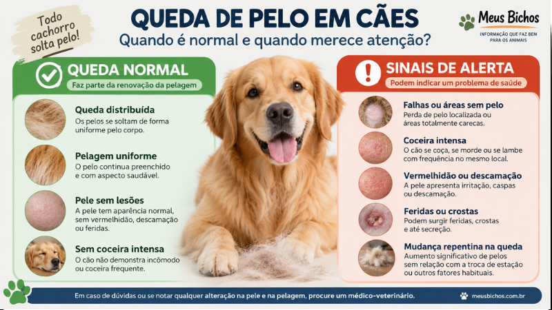 Infográfico comparando a queda de pelo normal com sinais de alerta para a saúde da pele do cão