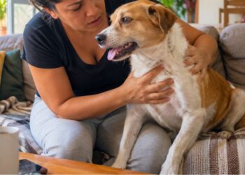 Tutor auxiliando cachorro engasgado e prestando primeiros socorros